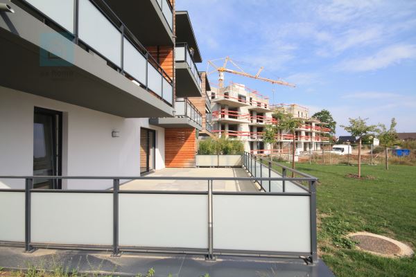 ERGERSHEIM - Appartement 4 pièces au rez de chaussée